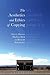 The Aesthetics and Ethics of Copying by Darren Hudson Hick