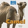 Camel (Big Beasts) Camel (Big Beasts)