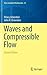 Waves and Compressible Flow (Texts in Applied Mathematics)