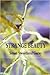 Strange Beauty