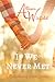 If We Never Met - A Collection of Short Stories