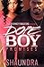 Dope Boy Promises by Shaundra