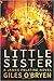 Little Sister (James Palatine Thriller #1)
