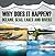 Why Does It Happen?: Oceans, Seas, Lakes and Rivers: Oceanography for Kids