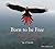 Born to be Free (Audio MP3 CD)