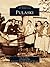 Pulaski (Images of America: Virginia)