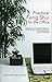 Practical Feng Shui For The Office: Finding Your Individual Balance in the Workplace