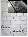 Thieves Thieves