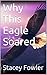 Why This Eagle Soared: A True Story About The Scars of Child Abuse
