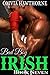 Bad Boy Irish: Book 7