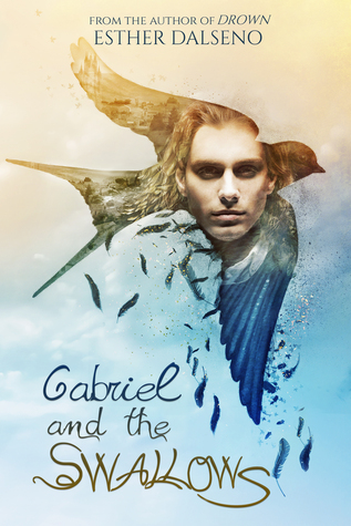 Gabriel and the Swallows (Paperback)