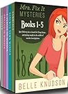 Mrs. Fix It Myste...