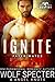 Ignite (Dragon's Destiny: F...