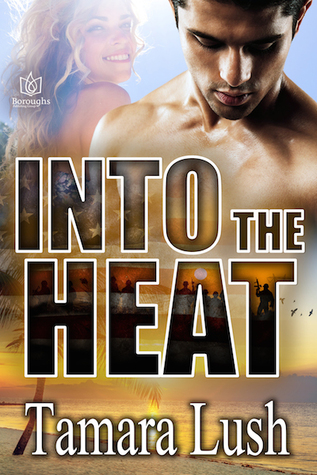 Into the Heat (Burning Secrets, #2)