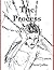 The Process by David Jaffee The Process by David Jaffee