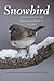 Snowbird: Integrative Biology and Evolutionary Diversity in the Junco