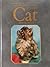 The Complete Illustrated Guide To The Cat