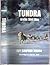 Tundra : Arctic Sled Dog