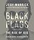 Black Flags: The Rise of ISIS
