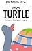 Unique Turtle: Numbers, Colors and Shapes