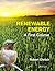 Renewable Energy: A First Course