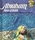 Abraham, Man of Faith (Biblearn)