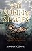The Sunny Spaces: A Novel of Romance, Inspiration, and Restoration