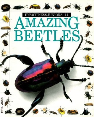 Amazing Beetles (Eyewitness Juniors #14)