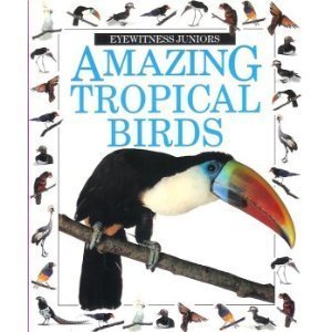 Amazing Tropical Birds (Eyewitness Juniors, #15)