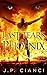Fantasy by J.P. Cianci