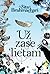 Už zase lietam by Sita Brahmachari