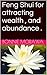 Feng Shui for attracting wealth , and abundance .: feng shui book 1