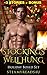 Romance: Stockings Well Hung, A Holiday Boxed Set