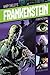 Frankenstein by Michael Burgan