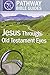 Jesus Through Old Testament Eyes (Pathway Bible Guides)