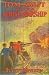 Tom Swift and his Aerial Warship (Tom Swift #18)