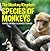 The Monkey Kingdom (Species of Monkeys) : 3rd Grade Science Series: Monkey Books for Kids (Animal Encyclopedia For Children)