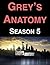 Grey's Anatomy by Eric Freeman