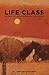 Life Class: Memoir of an accidental gallerist