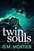 Twin Souls (The Guardians #2)
