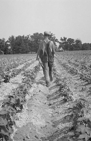 El soldado Somacal (Unknown Binding)
