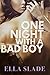 One Night with a Bad Boy: