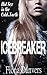Icebreaker by Fiona Danvers