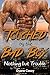 Romance: Touched by the Bad Boy: Nothing but Trouble (Bad Boy Romance Series)
