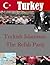 Turkish Islamism: The Refah...