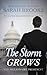 The Storm Grows (The Billionaire President, #14)
