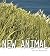 New Animal