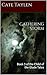 Gathering Storm: Book 3 of the Child of the Glade Tales