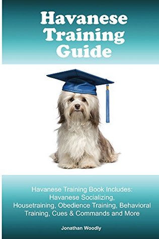 havanese crate training