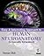 Easy and Interesting Approach to Human Neuroanatomy